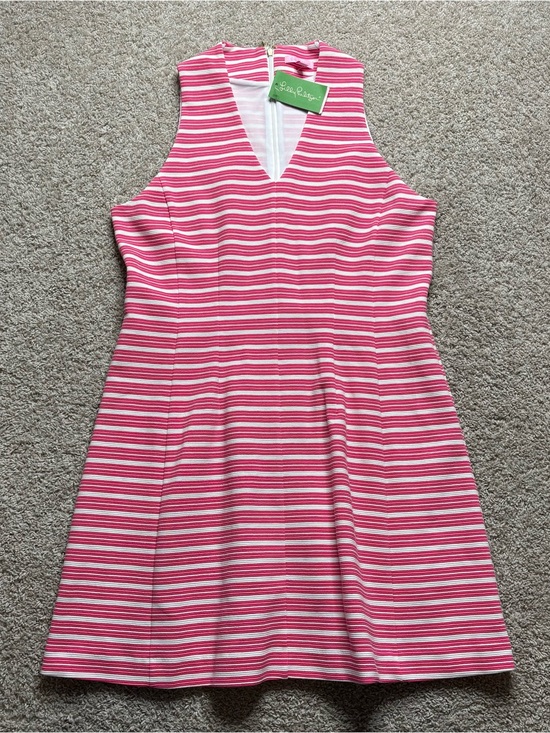 Lilly Pulitzer Dresses & Skirts - Lilly Pulitzer Briana Dress